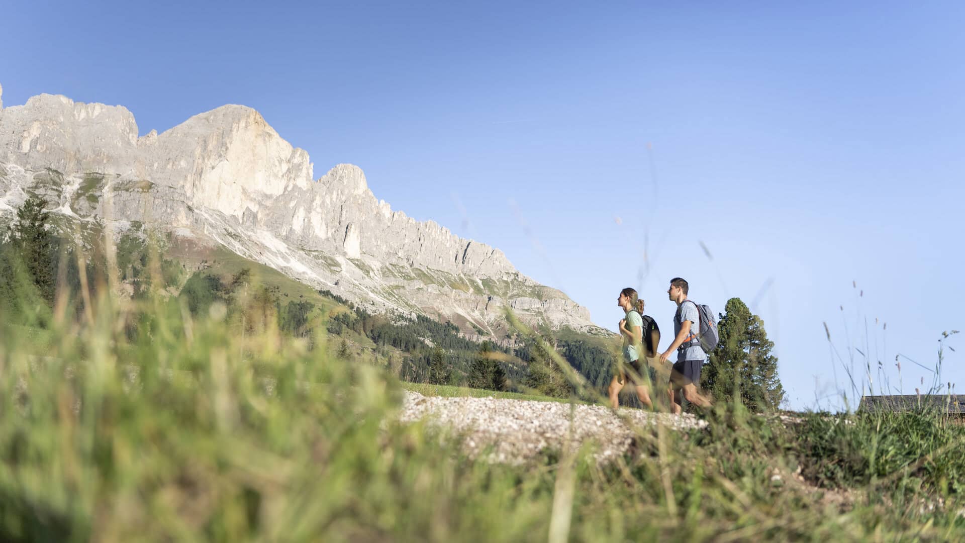 Alpengasthof Frommeralm │ Sommer